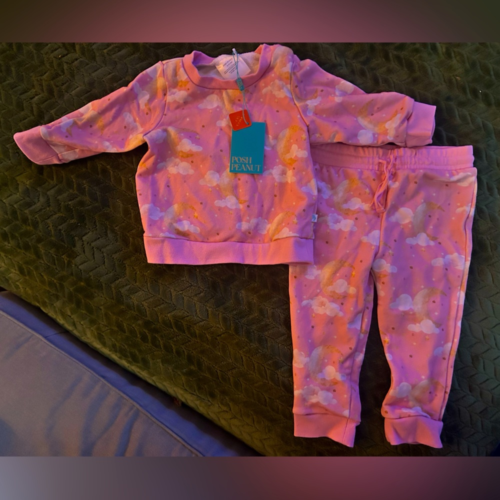 2 pc sweat pajamas set, posh peanut brand, baby girls size 12-18 months, new